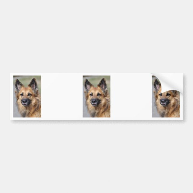 Create your own pet photo bumper sticker (Front)