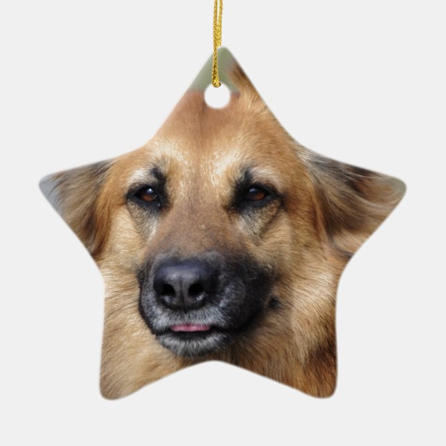 Create your own pet photo ceramic ornament (Front)