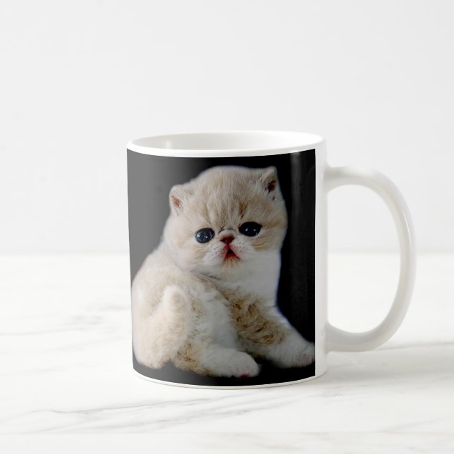 CREATE YOUR OWN PET PHOTO COFFEE MUG (Right)