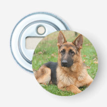 Create Your Own Pet Photo Custom Picture