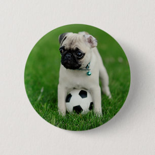 Create Your Own Pet Photo Custom Picture Button