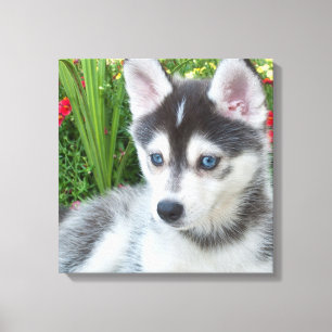 Create Your Own Pet Photo Custom Picture Canvas Print