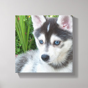 Create Your Own Pet Photo Custom Picture Canvas Print