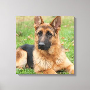 Create Your Own Pet Photo Custom Picture Canvas Print