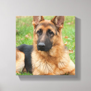 Create Your Own Pet Photo Custom Picture Canvas Print