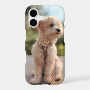 Create Your Own Pet Photo Custom Picture iPhone 17 Case