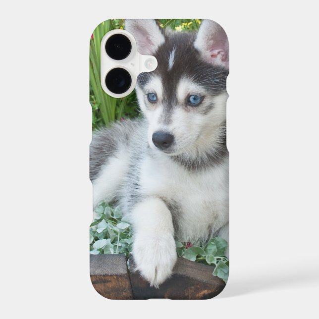 Create Your Own Pet Photo Custom Picture Case-Mate iPhone Case (Back)