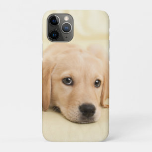 Create Your Own Pet Photo Custom Picture iPhone 11 Pro Case