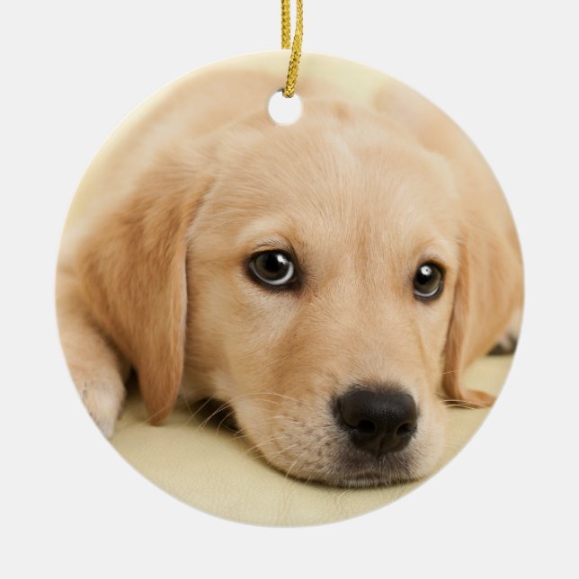 Create Your Own Pet Photo Custom Picture Ceramic Ornament (Front)