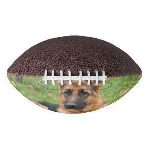 Create Your Own Pet Photo Custom Picture Football
