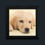 Create Your Own Pet Photo Custom Picture Gift Box<br><div class="desc">Create something truly meaningful with a custom design made just for you. Add your favorite photo to transform a special moment into a personal keepsake that tells your story. Whether it’s a cherished memory, a loved one, or a moment that makes you smile, your image is printed with care to...</div>