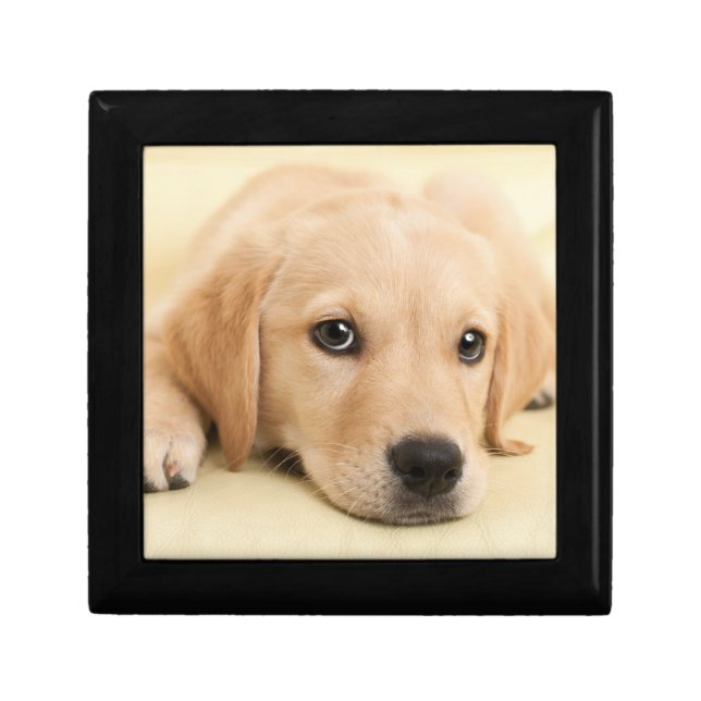 Create Your Own Pet Photo Custom Picture Gift Box (Front)