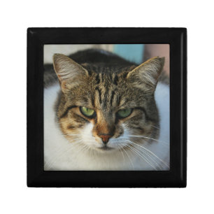Create Your Own Pet Photo Custom Picture Gift Box