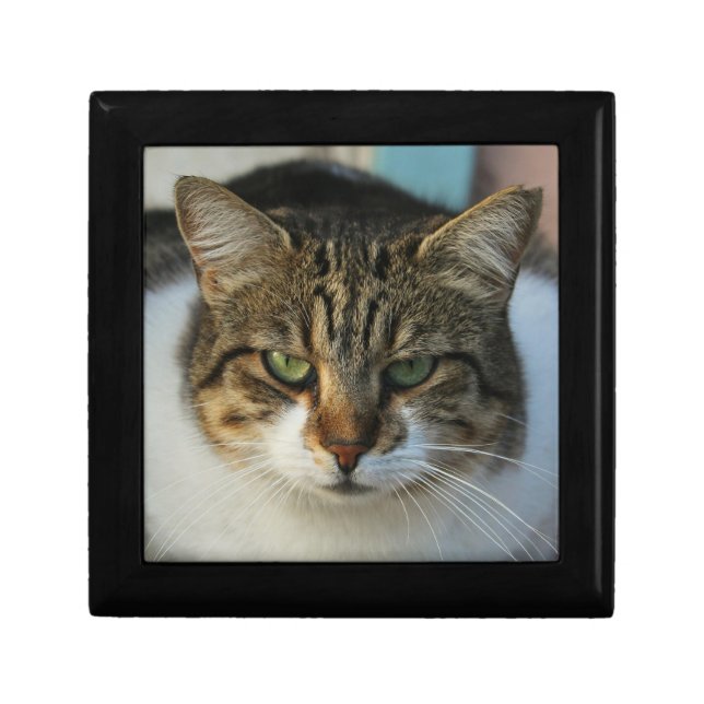 Create Your Own Pet Photo Custom Picture Gift Box (Front)