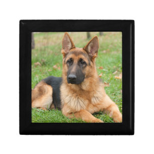 Create Your Own Pet Photo Custom Picture Gift Box