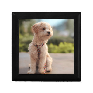 Create Your Own Pet Photo Custom Picture Gift Box