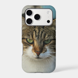 Create Your Own Pet Photo Custom Picture Gift iPhone 17 Pro Case
