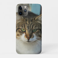 Create Your Own Pet Photo Custom Picture Gift