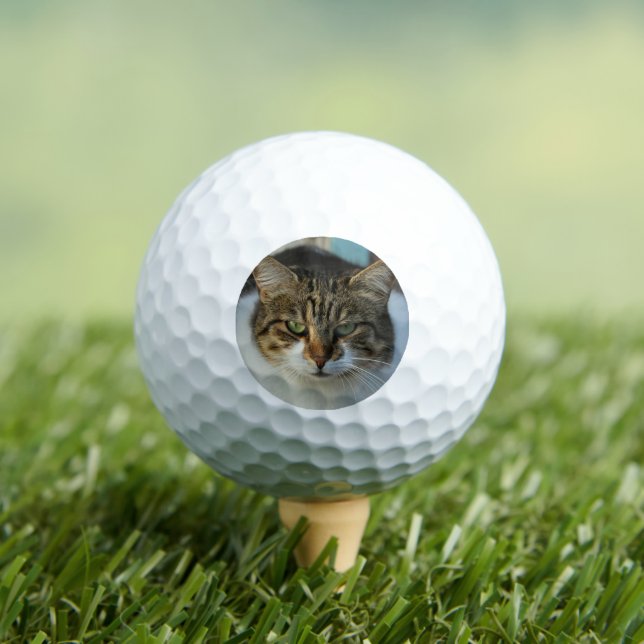 Create Your Own Pet Photo Custom Picture Gift Golf Balls (Insitu Tee)