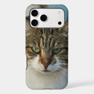 Create Your Own Pet Photo Custom Picture Gift iPhone 17 Pro Max Case