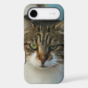 Create Your Own Pet Photo Custom Picture Gift iPhone 17 Air Case