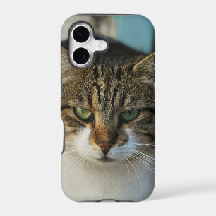 Create Your Own Pet Photo Custom Picture Gift iPhone 17 Case