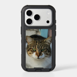 Create Your Own Pet Photo Custom Picture Gift iPhone 17 Pro Case