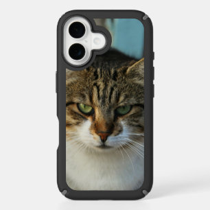 Create Your Own Pet Photo Custom Picture Gift iPhone 16 Case