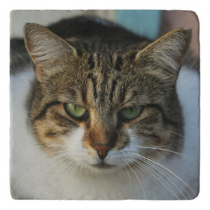 Create Your Own Pet Photo Custom Picture Gift Trivet