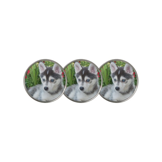 Create Your Own Pet Photo Custom Picture Golf Ball Marker (3 Up)