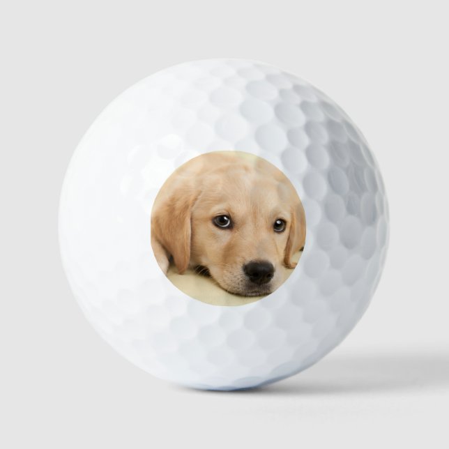 Create Your Own Pet Photo Custom Picture Golf Balls (Front)
