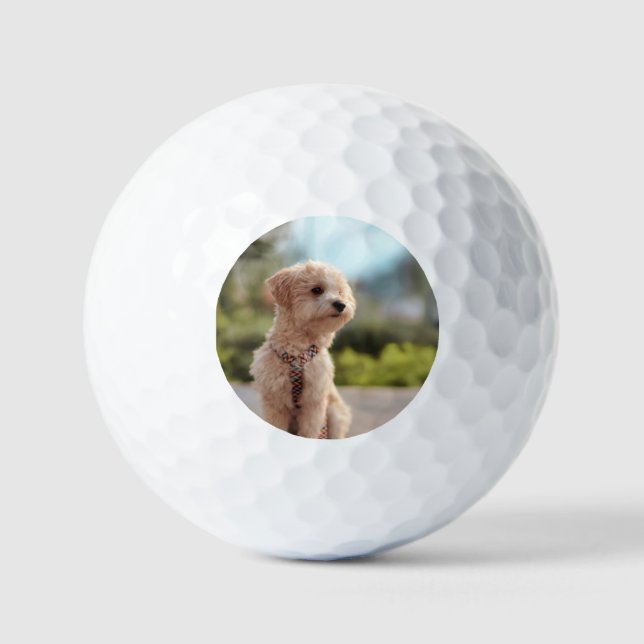 Create Your Own Pet Photo Custom Picture Golf Balls (Front)