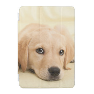 Create Your Own Pet Photo Custom Picture iPad Mini Cover
