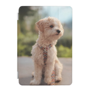 Create Your Own Pet Photo Custom Picture iPad Mini Cover