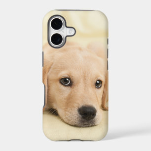 Create Your Own Pet Photo Custom Picture iPhone 17 Case