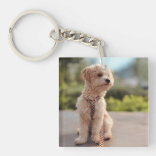Create Your Own Pet Photo Custom Picture Keychain