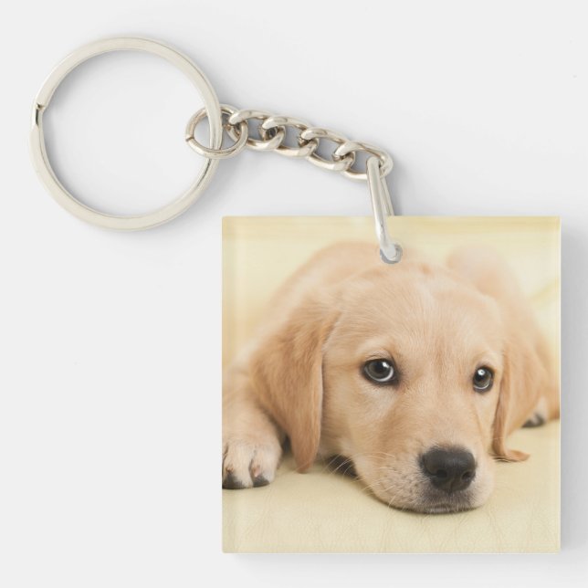 Create Your Own Pet Photo Custom Picture Keychain (Front)