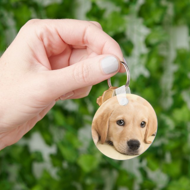 Create Your Own Pet Photo Custom Picture Keychain (Hand)
