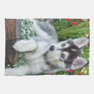 Create Your Own Pet Photo Custom Picture Kitchen Towel
