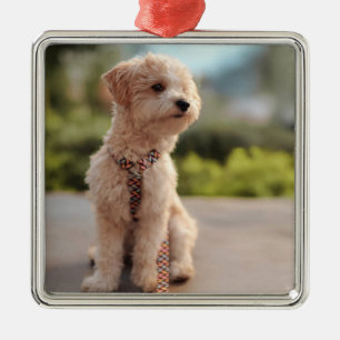 Create Your Own Pet Photo Custom Picture Metal Ornament