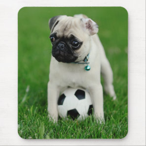 Create Your Own Pet Photo Custom Picture Mouse Pad