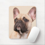 Create Your Own Pet Photo Custom Picture Mouse Pad<br><div class="desc">Create something truly meaningful with a custom design made just for you. Add your favorite photo to transform a special moment into a personal keepsake that tells your story. Whether it’s a cherished memory, a loved one, or a moment that makes you smile, your image is printed with care to...</div>
