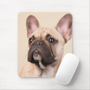 Create Your Own Pet Photo Custom Picture Mouse Pad
