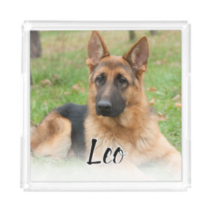 Create Your Own Pet Photo Custom Picture Name Acrylic Tray