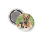 Create Your Own Pet Photo Custom Picture Name