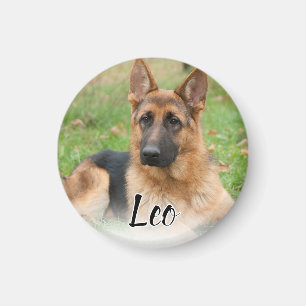 Create Your Own Pet Photo Custom Picture Name Magnet