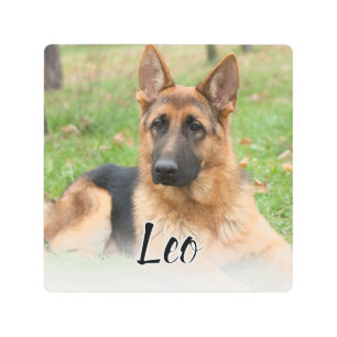 Create Your Own Pet Photo Custom Picture Name Metal Print