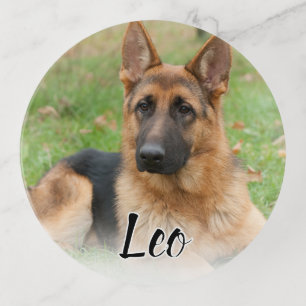 Create Your Own Pet Photo Custom Picture Name Trinket Tray