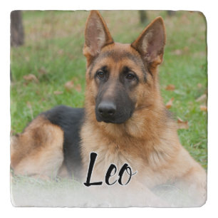 Create Your Own Pet Photo Custom Picture Name Trivet