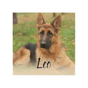 Create Your Own Pet Photo Custom Picture Name Wood Wall Art